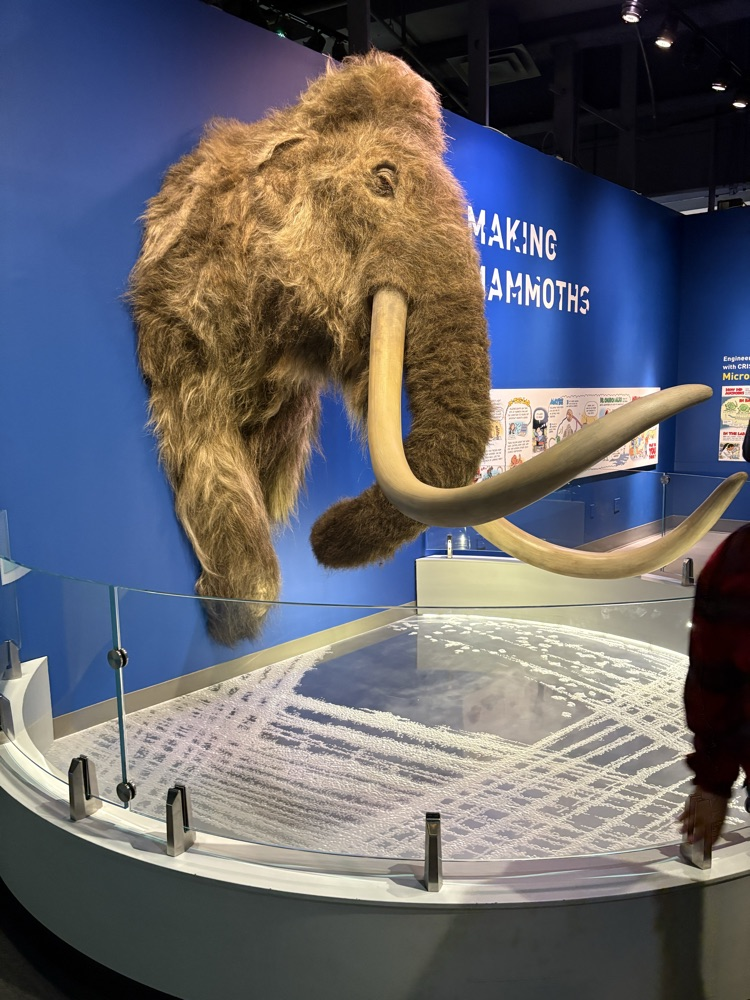 great trip to the Liberty Science Center this week for the 8th graders !