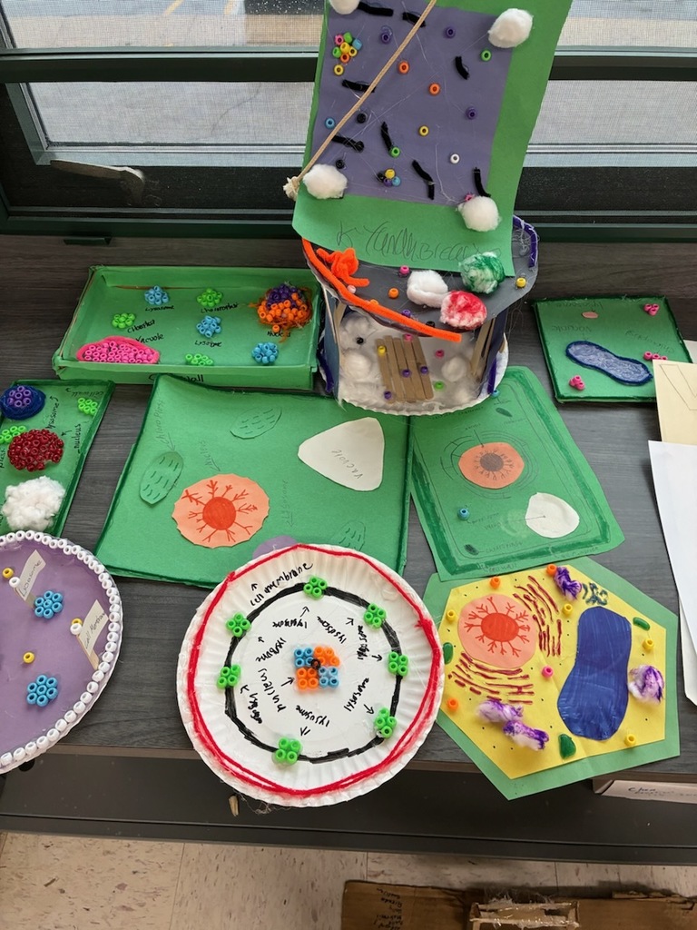 7th Grade Science Cell Model Projects
