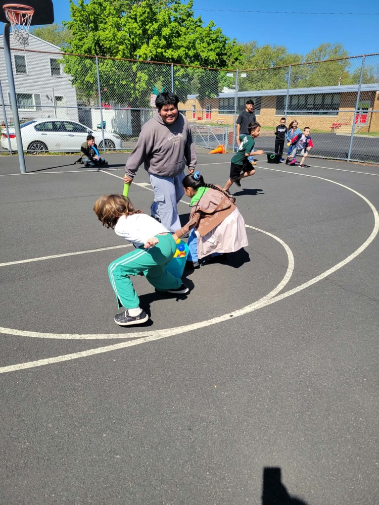 Busy bees in action pollinating, playing, and celebrating our planet! 🌎🐝