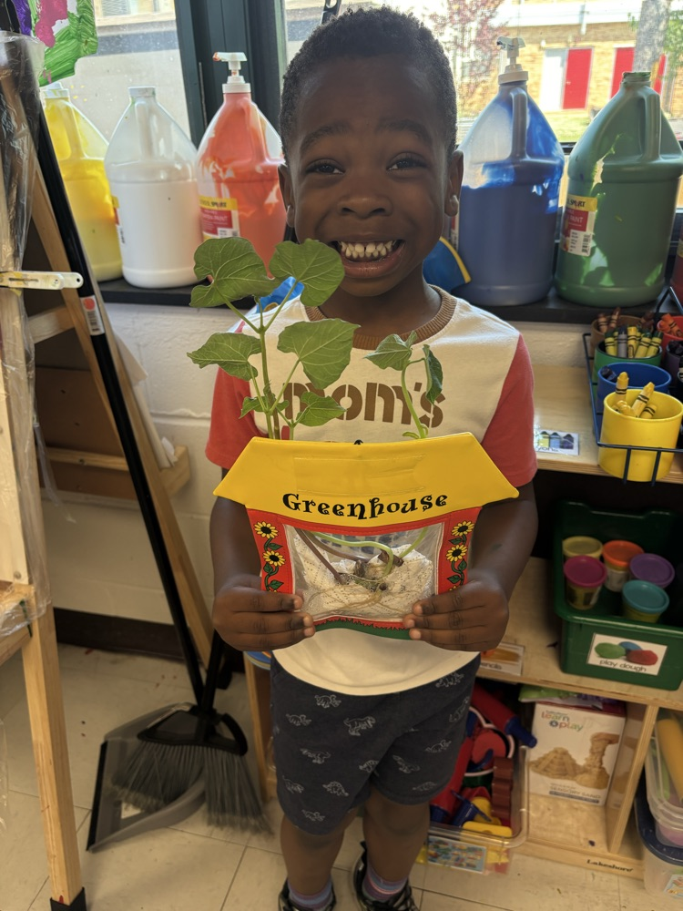 We are excited to see our bean plants grow! 