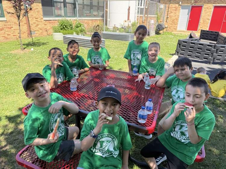 field Day
