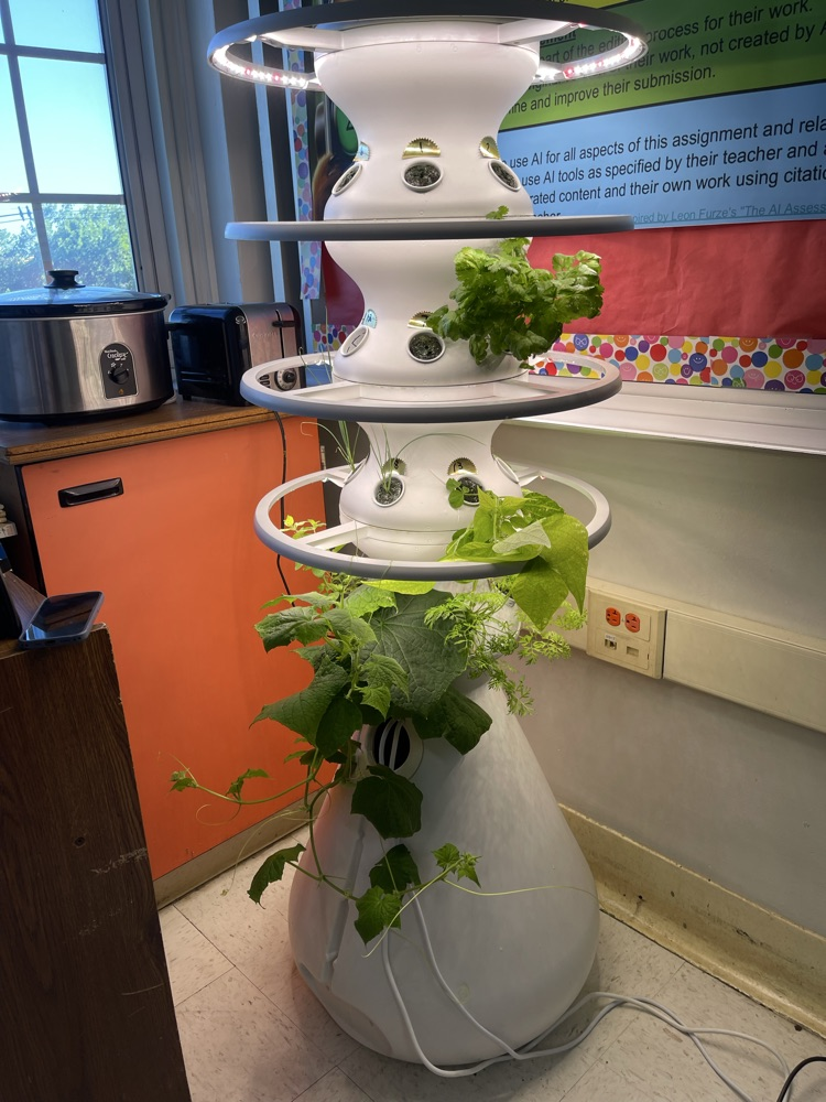 Fruits and Vegtables in full bloom!