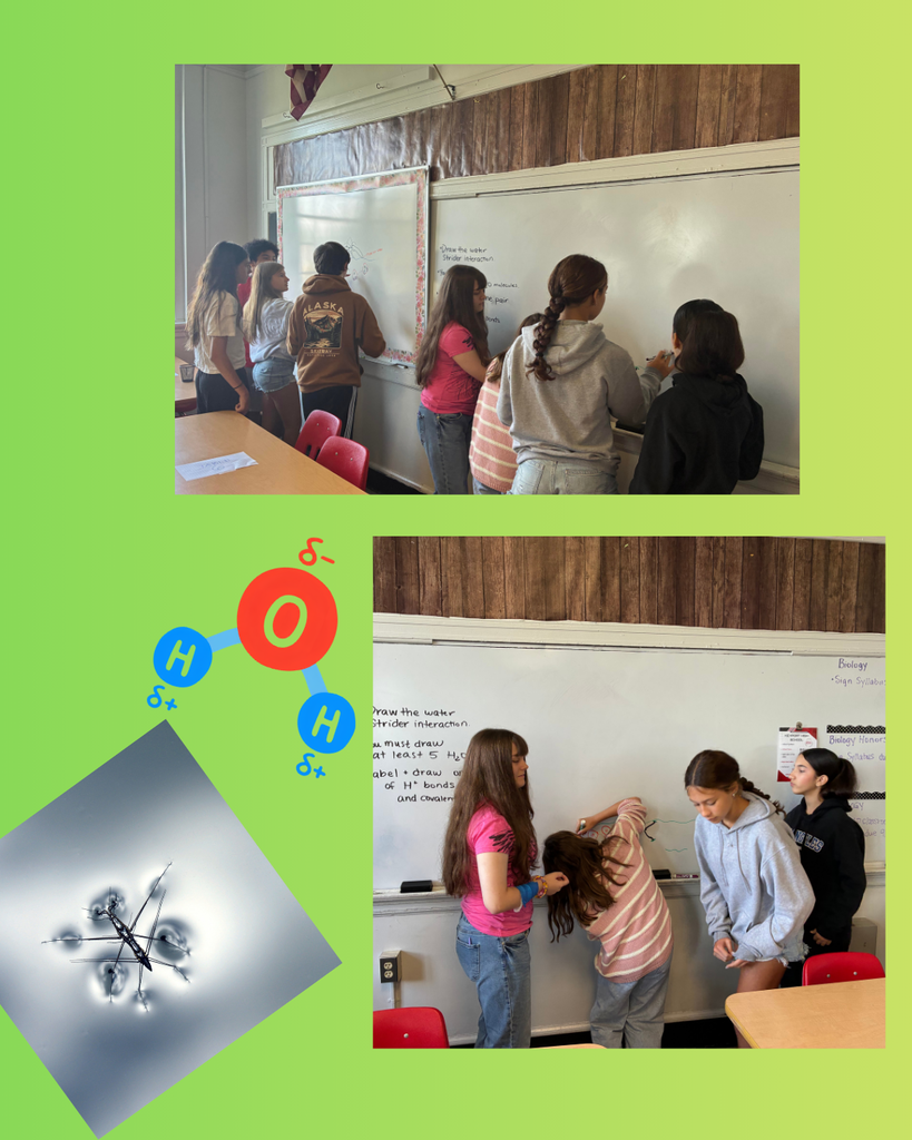Students in Ms. Johnson's 9th grade honors biology class working on a whiteboard,, drawing how the cohesive forces of water allow water striders to walk on the surface of water.