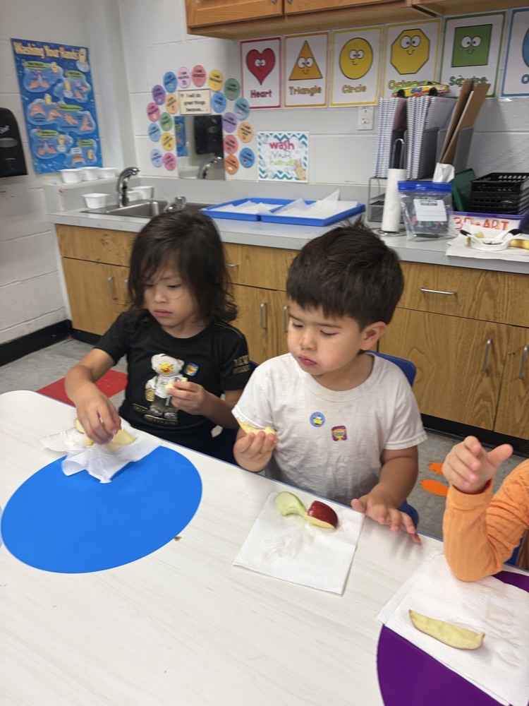 Apple Taste Test!