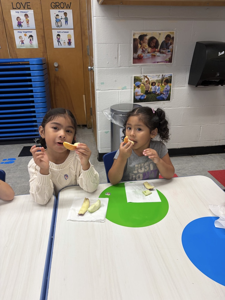 Apple Taste Test!