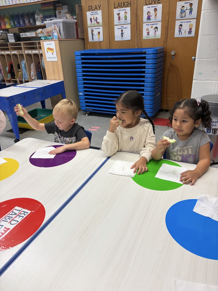 Apple Taste Test!