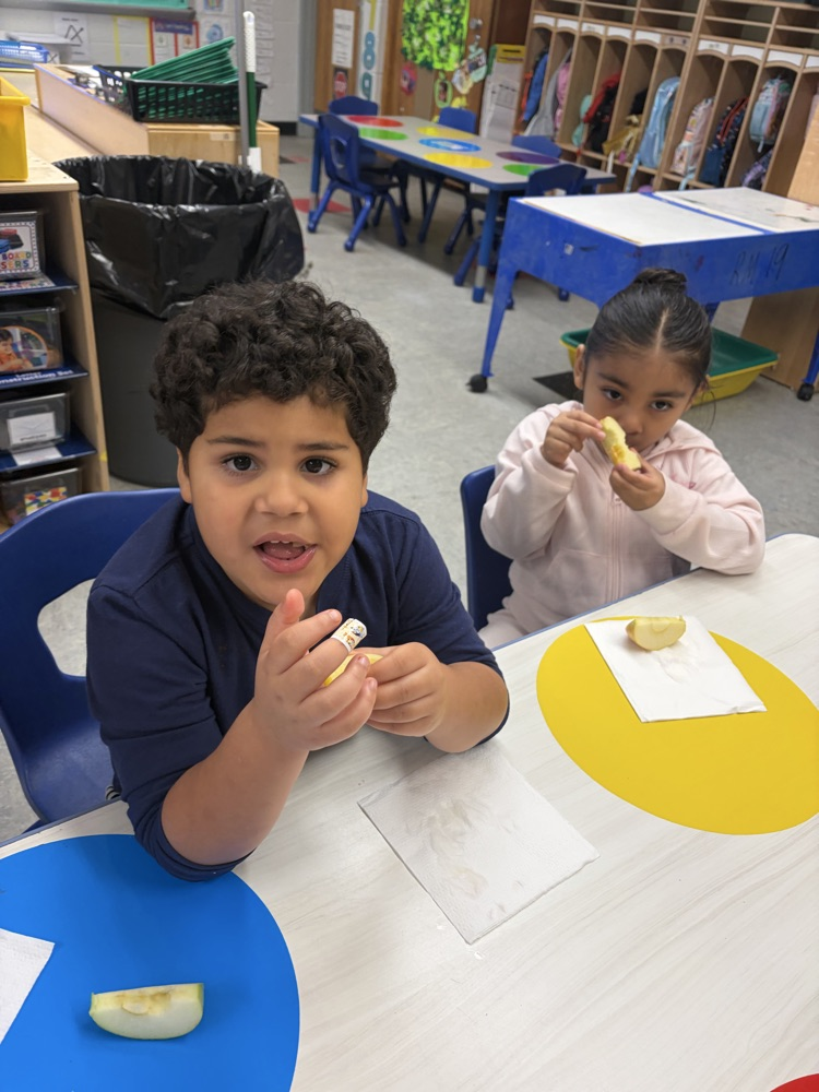 Apple Taste Test!
