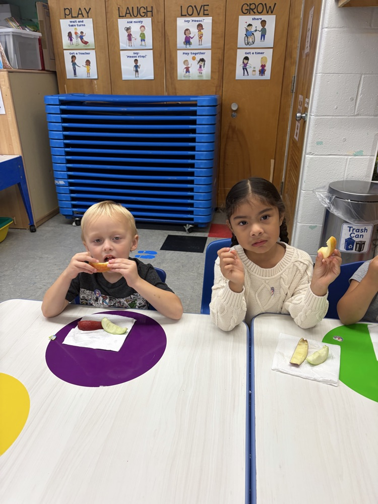 Apple Taste Test!