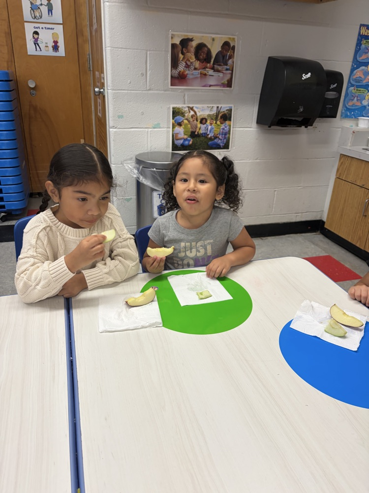 Apple Taste Test!