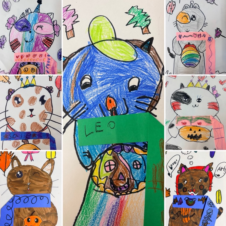 1st Grade Cats