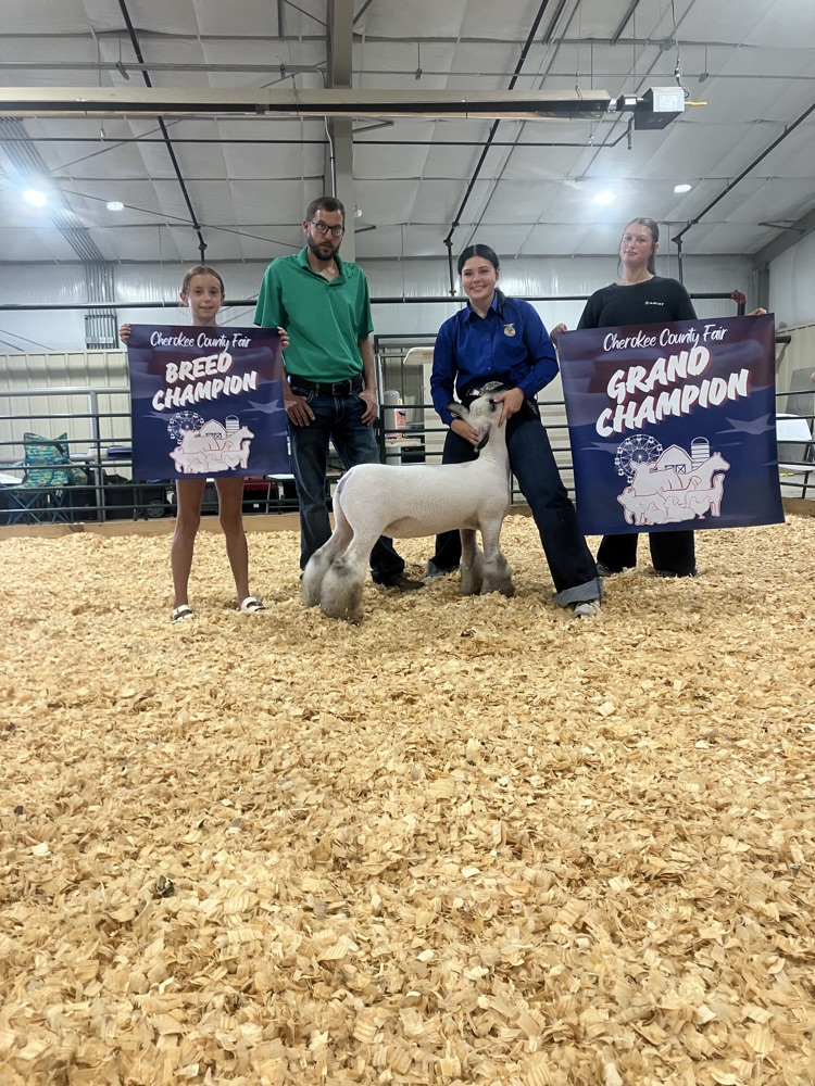 Cherokee County Fall Fair Livestock Show