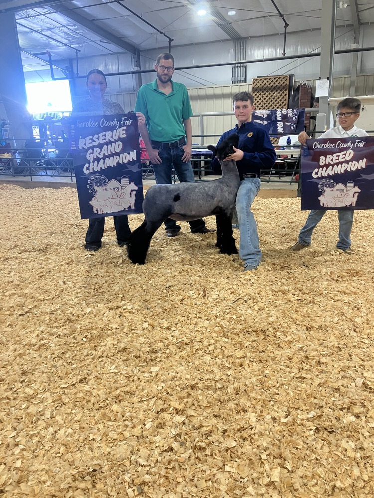 Cherokee County Fall Fair Livestock Show