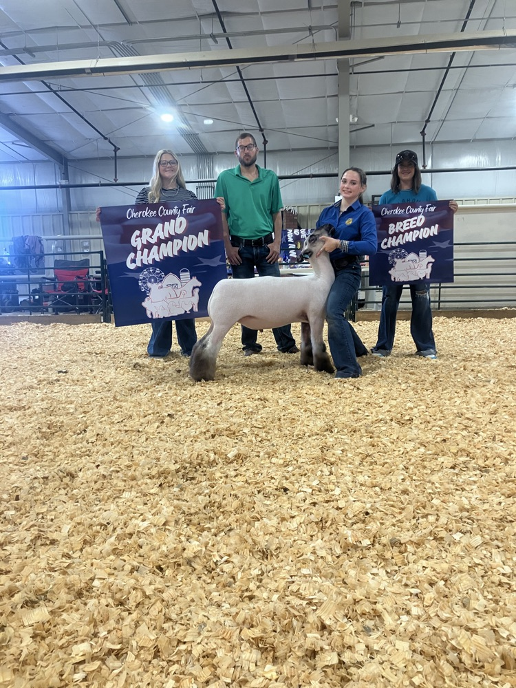 Cherokee County Fall Fair Livestock Show