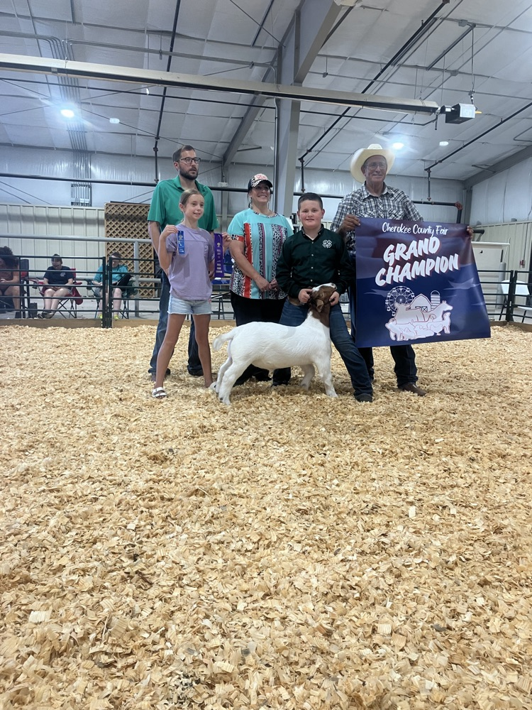 Cherokee County Fall Fair Livestock Show