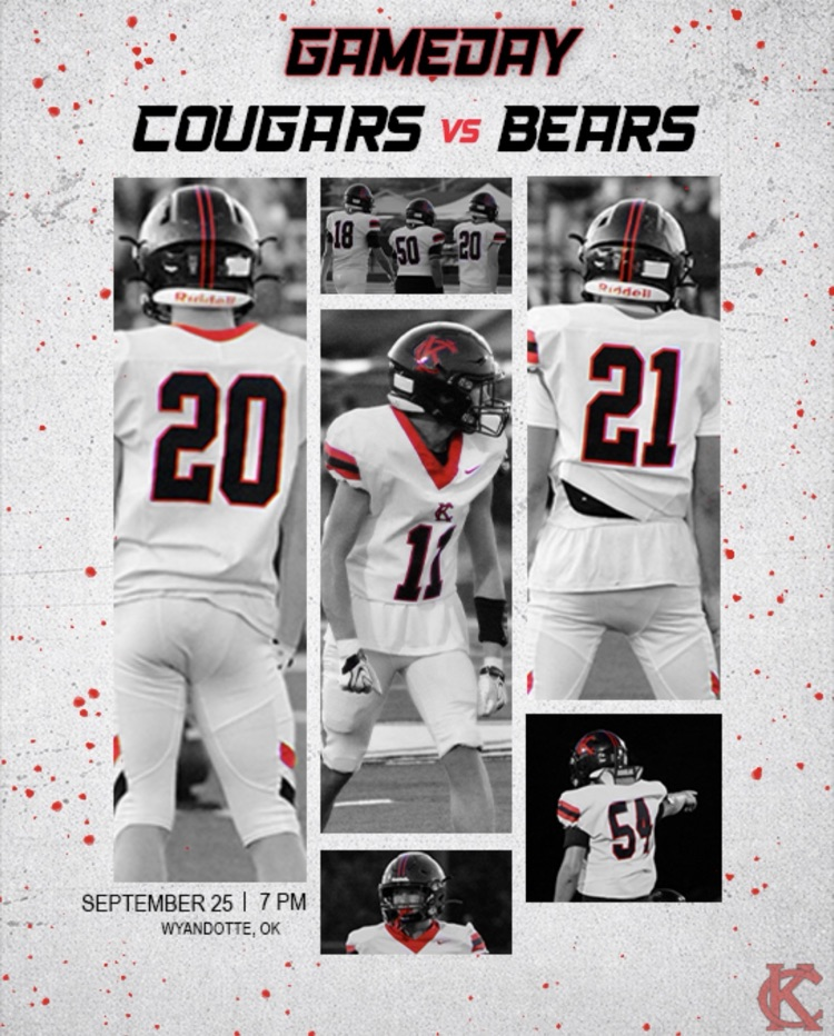 Cougars vs. Bears