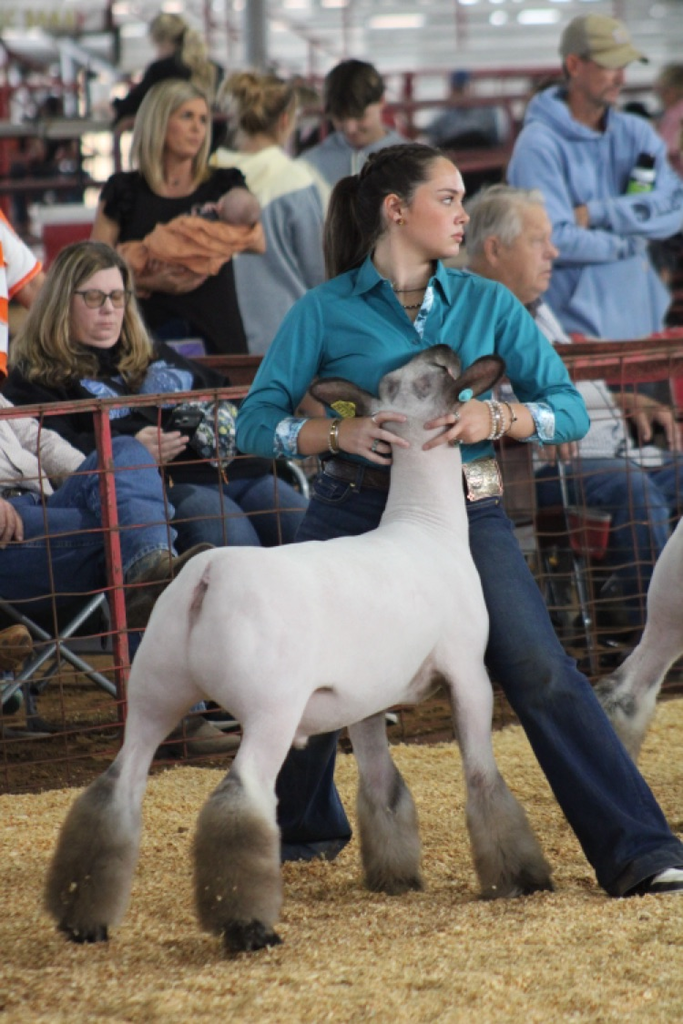 Arkansas Oklahoma State Fair