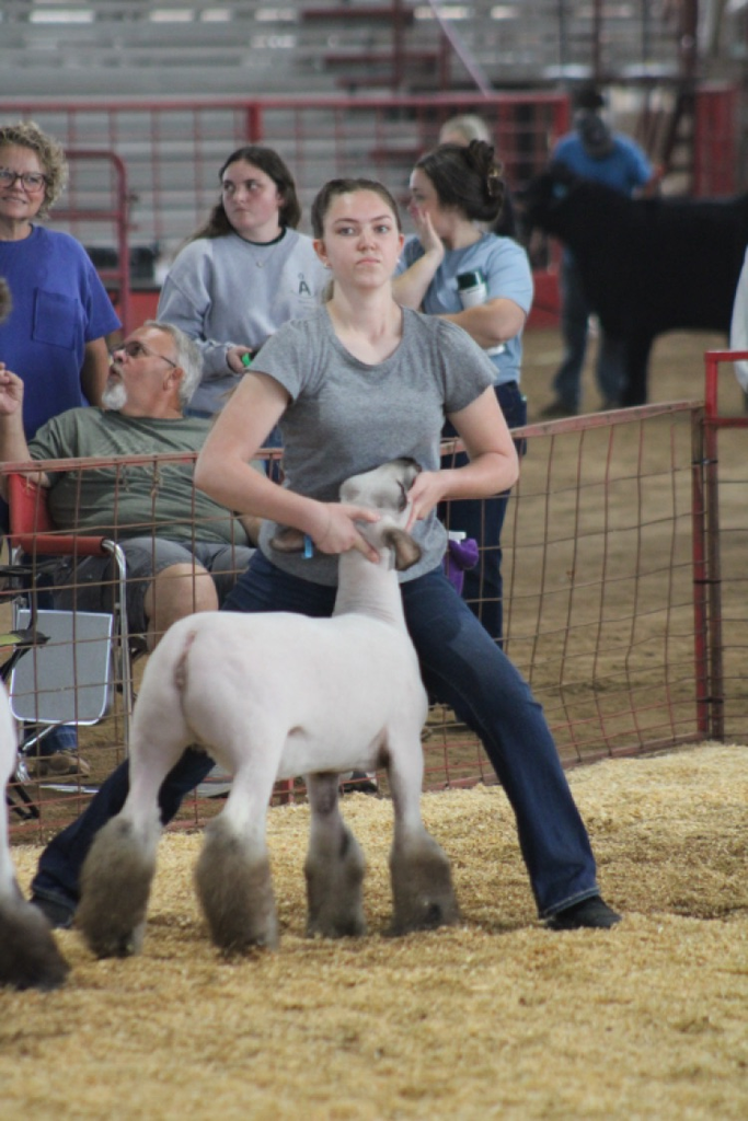 Arkansas Arkansas Oklahoma State Fair Oklahoma State Fair