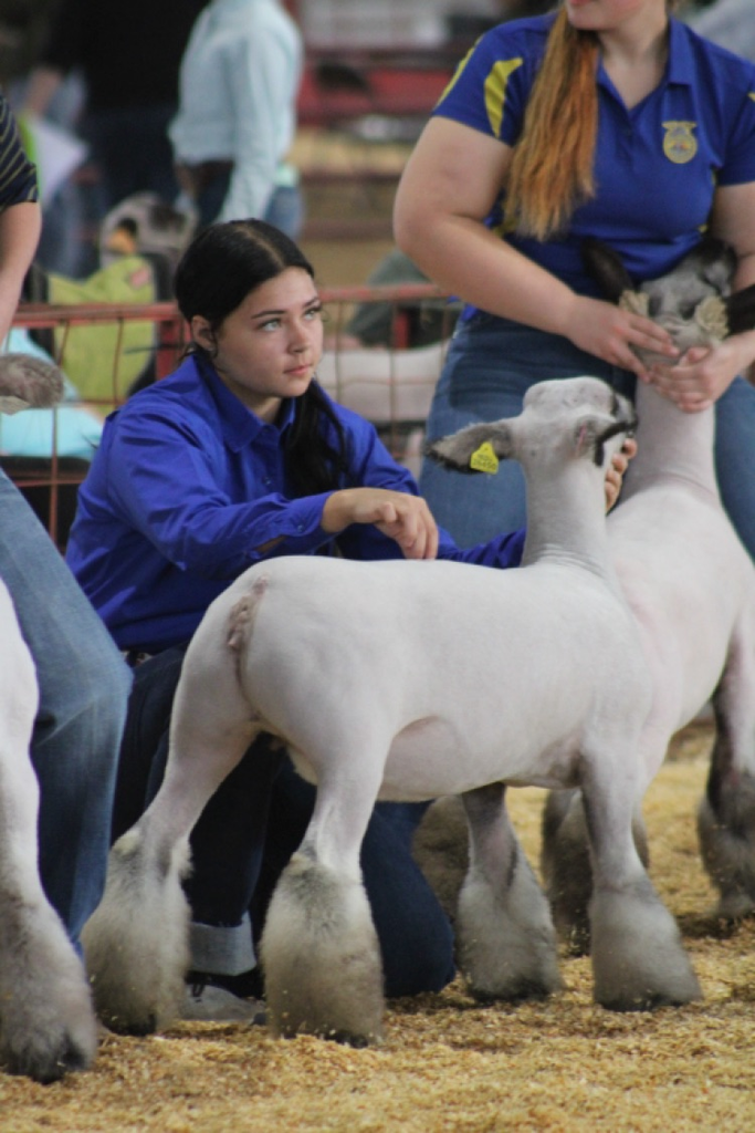 Arkansas Oklahoma State Fair