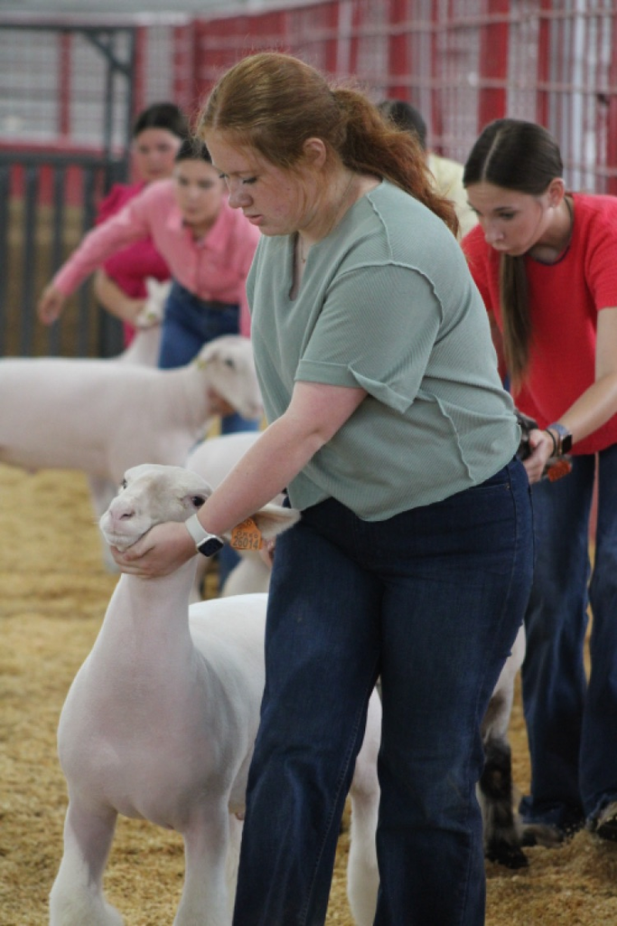 Arkansas Oklahoma State Fair