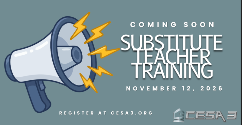 Substitute Training