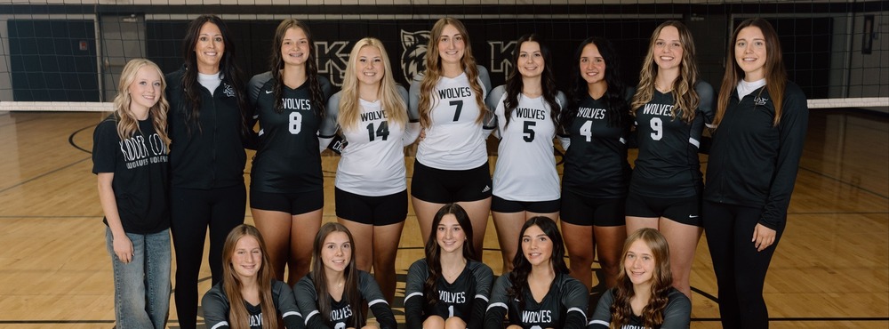 volleyball team