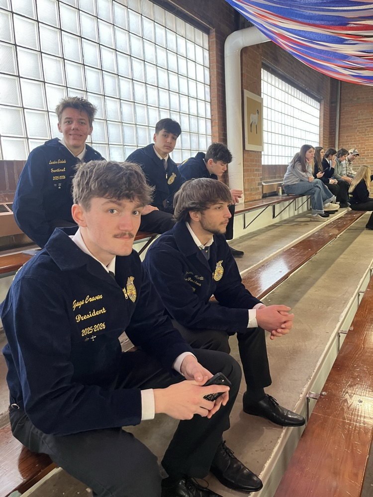 Waiting patiently for awards to start.