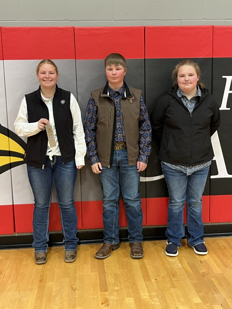 Kidder County 4H Willah Elston, Colton Elston and Corah Elston.  Willah placed silver.