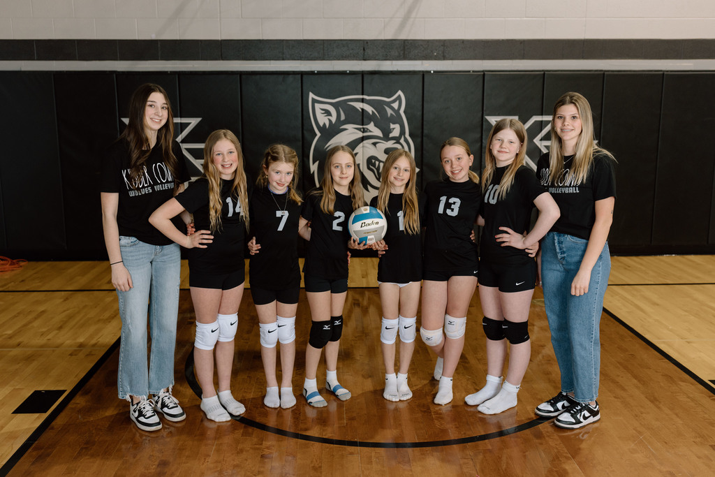 Volleyball Team Elementary