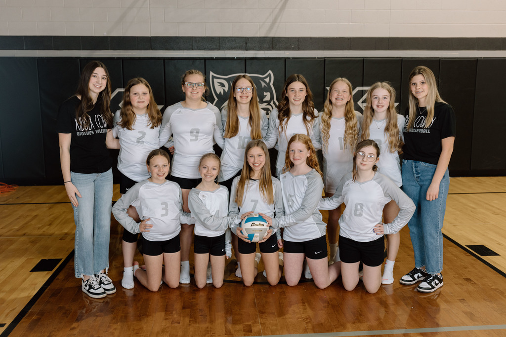 Volleyball Team Elementary