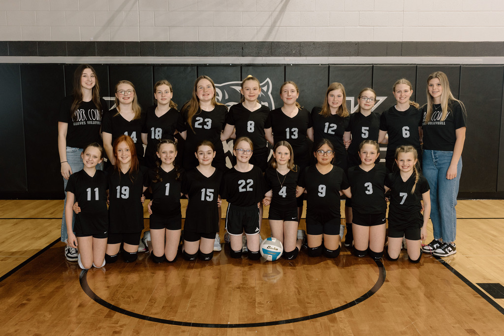 Volleyball Team Elementary