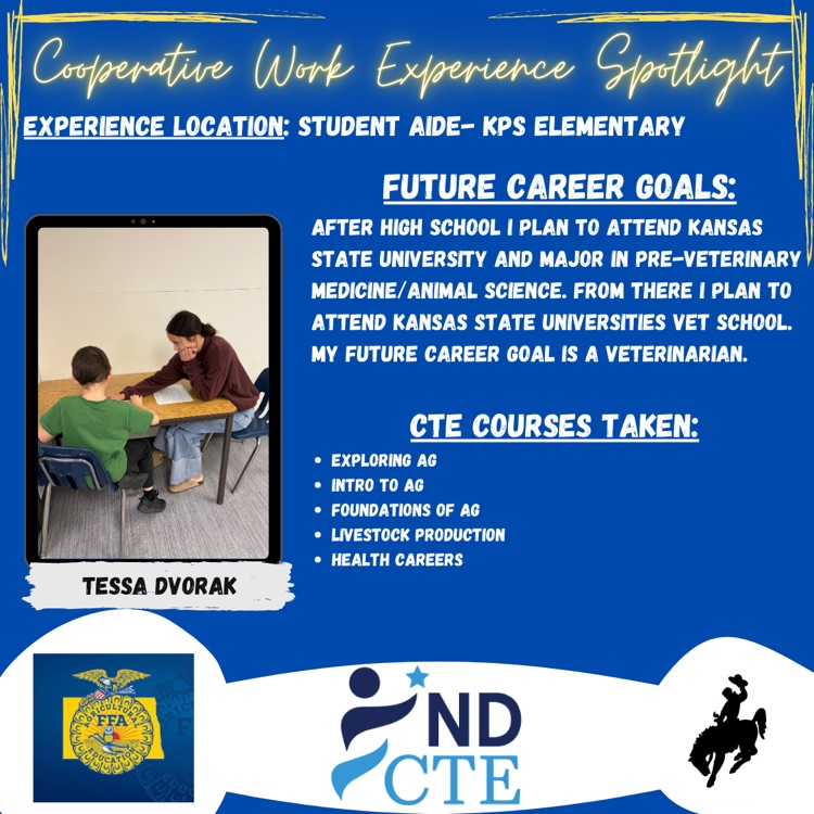 cooperative work experience Spotlight