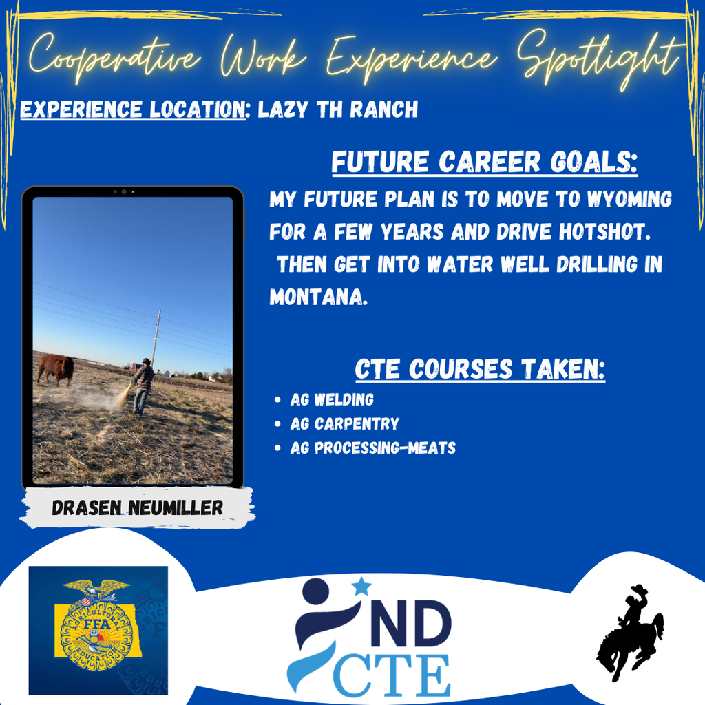 Cooperative work experience spotlight