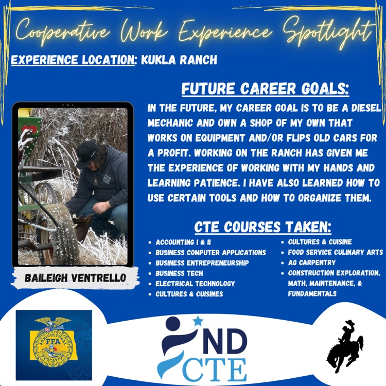 cooperative work experience Spotlight