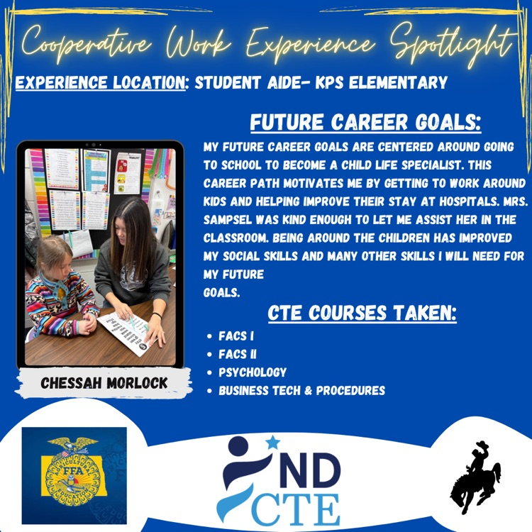 cooperative work experience Spotlight