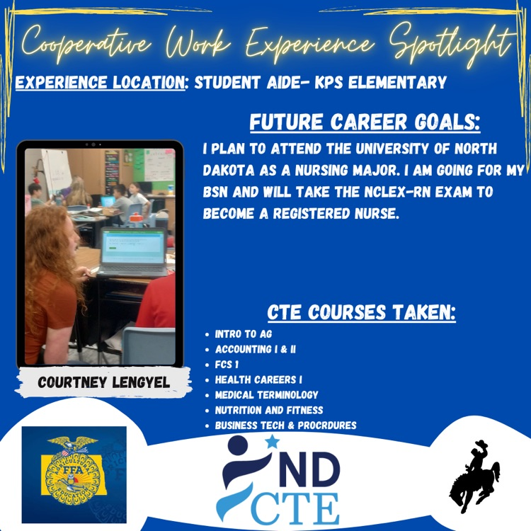 spotlight on student work experience 