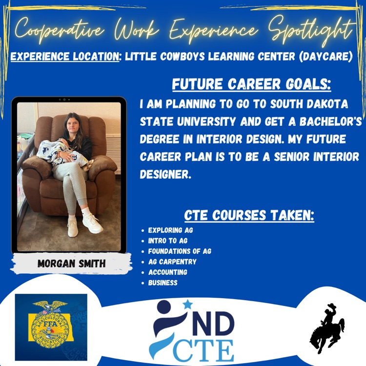 cooperate work experience Spotlight