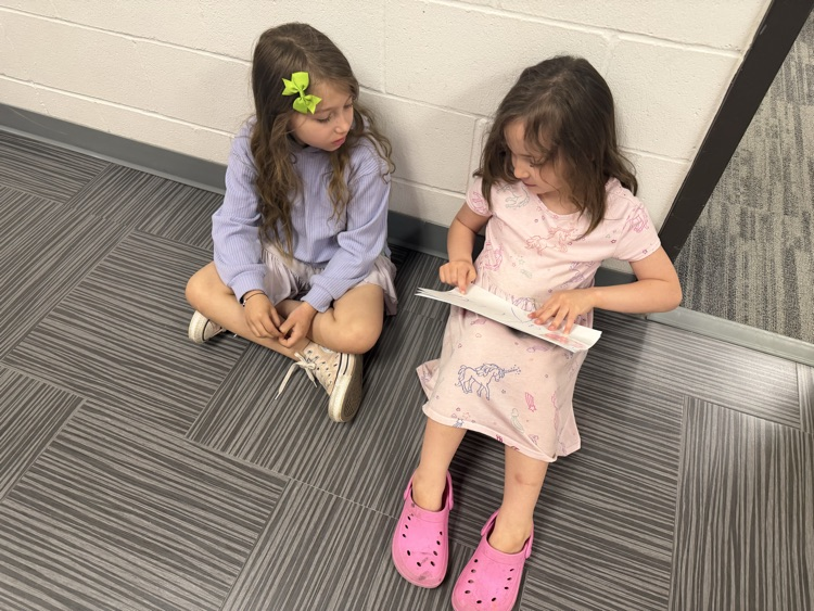 reading to preschool 