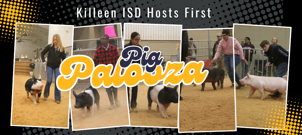 PIG PALOOZA
