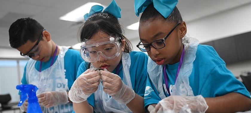 Science Olympiad food web