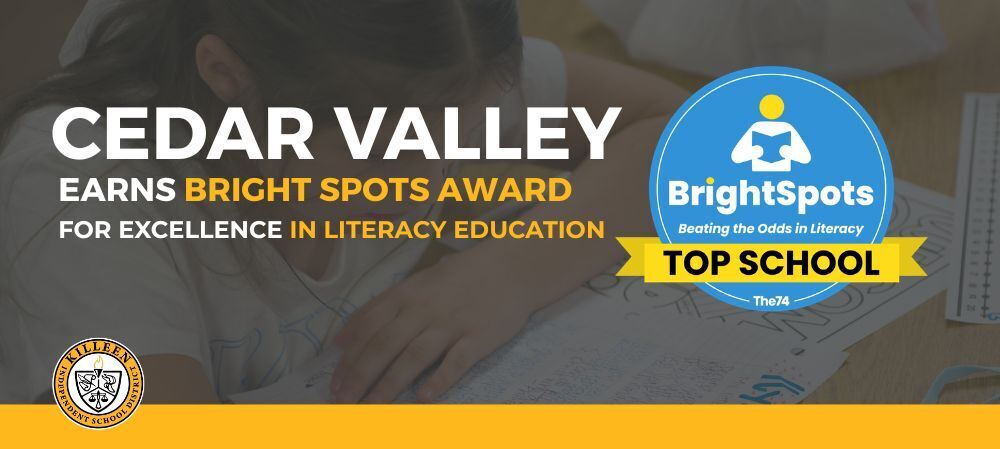Bright Spots Award graphic