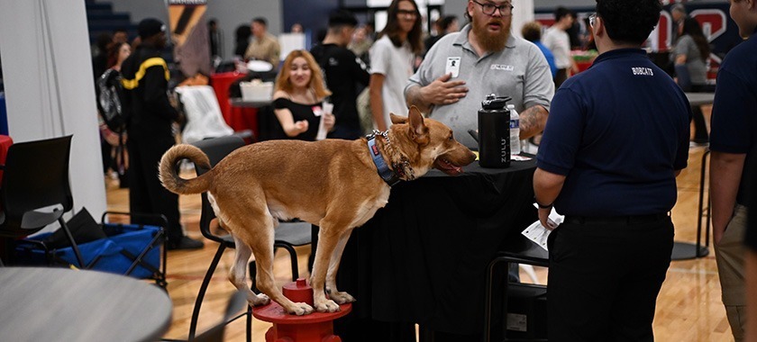 CHS Career Fair 2026