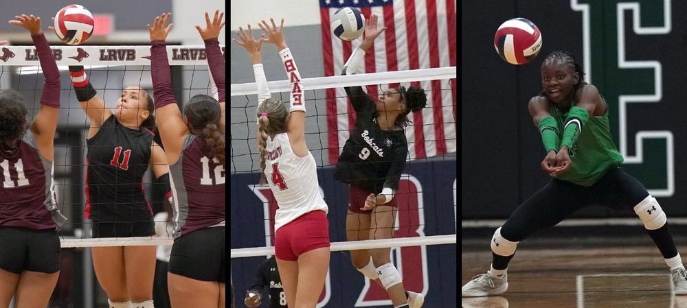 Volleyball players in preview photo