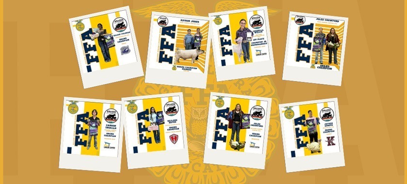 Livestock show grand champions