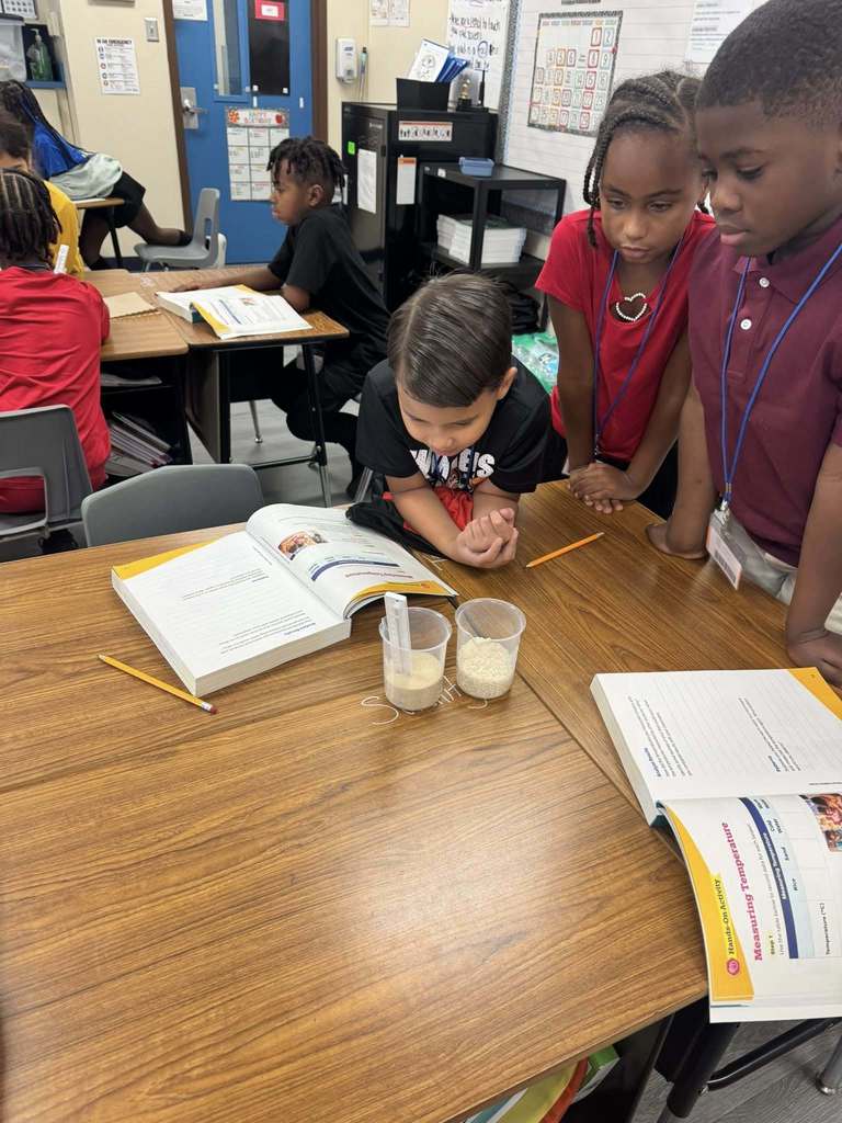 students observing temperature of water