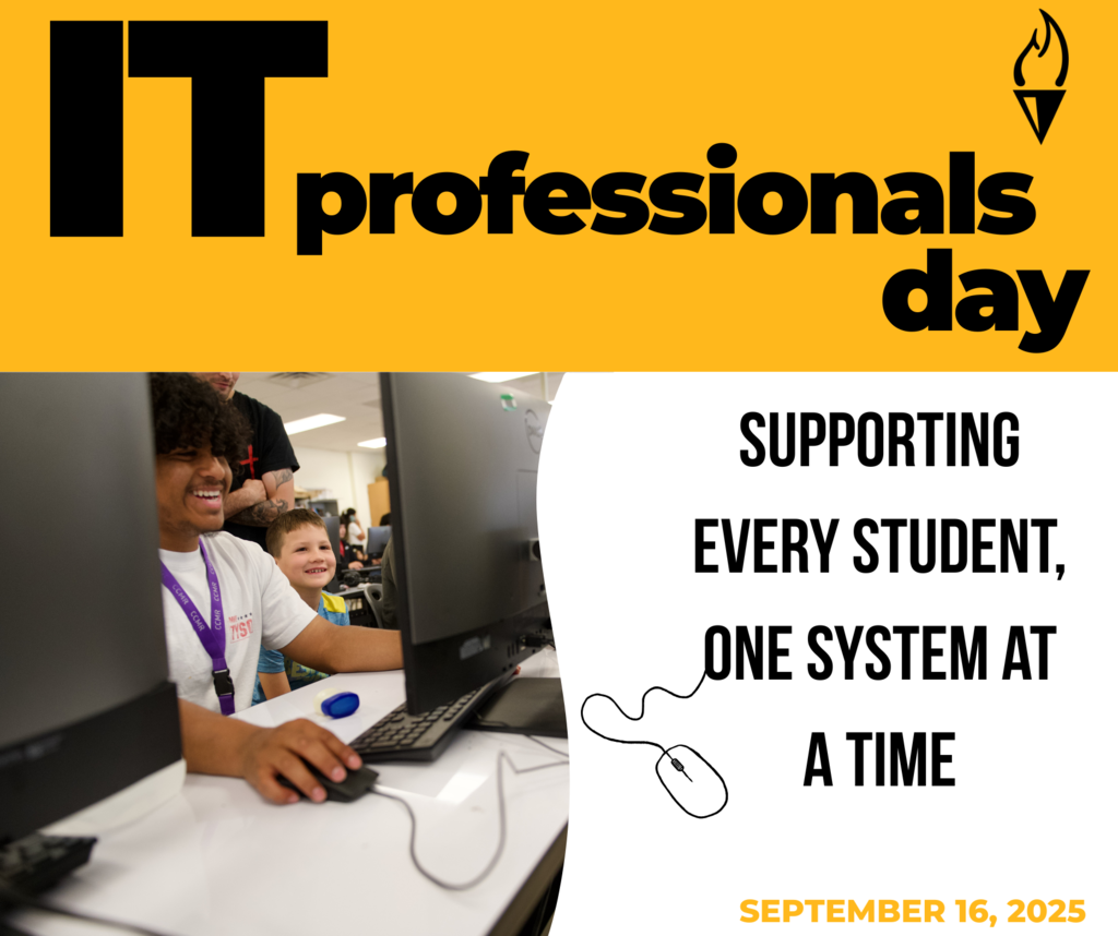 IT professionals day
