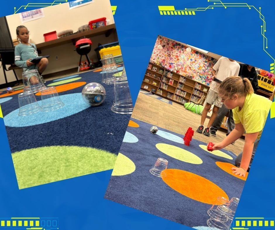 Collage of pictures. 