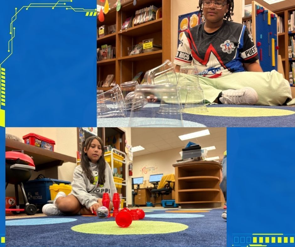 Collage of pictures. 