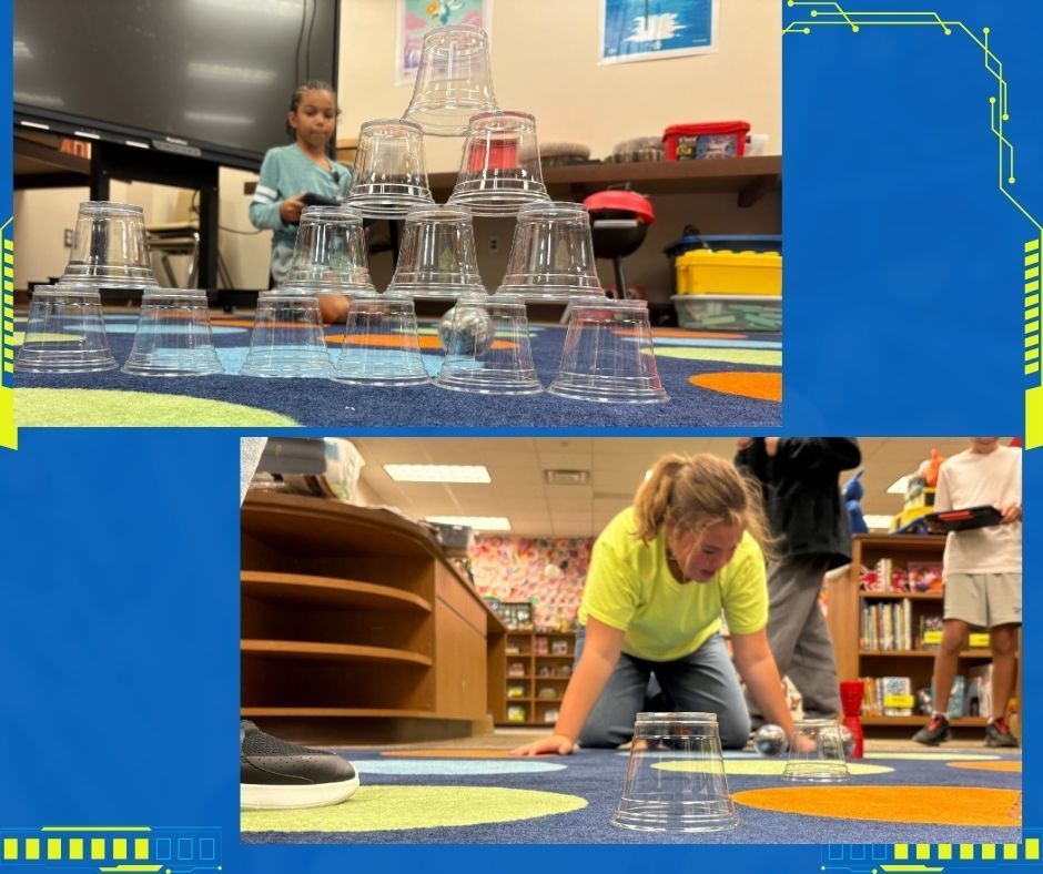 Collage of pictures. 