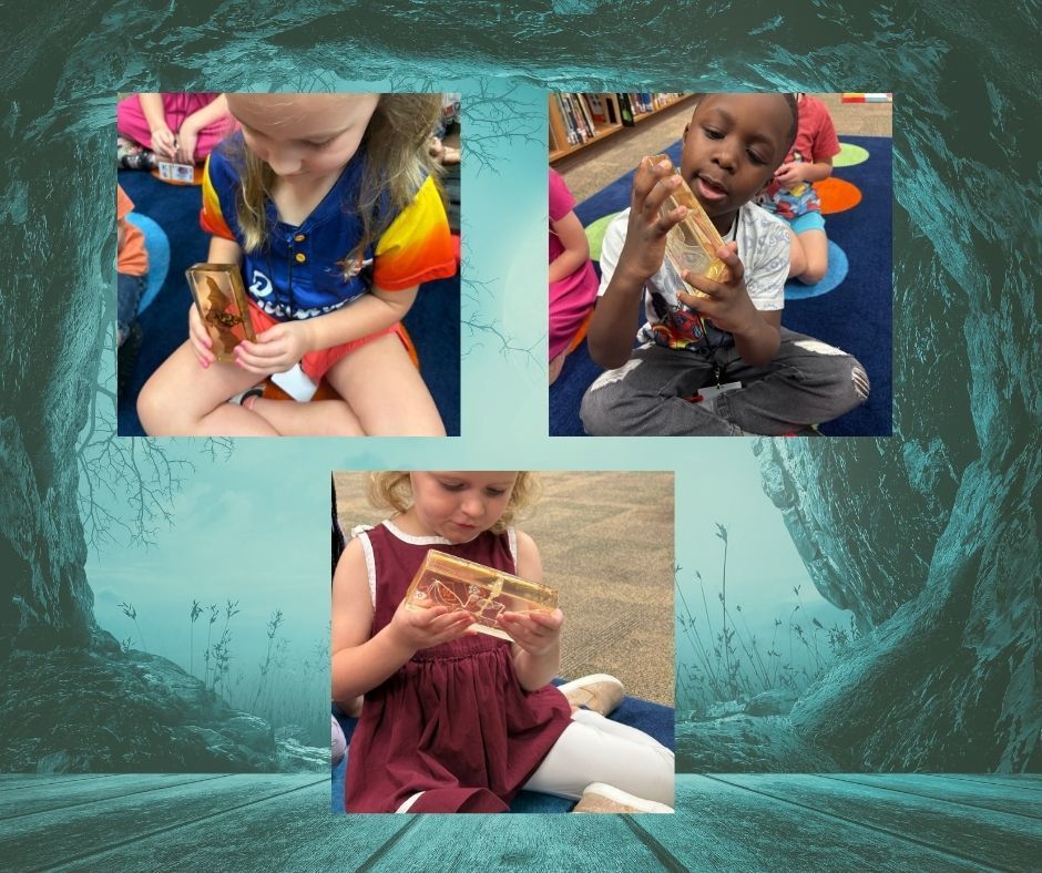 Collage of pictures. 