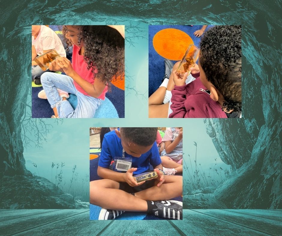 Collage of pictures. 